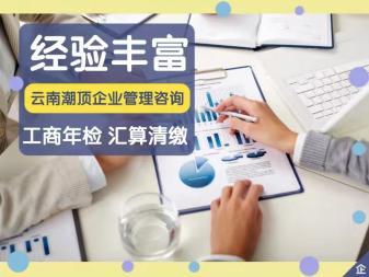 代理記賬 財(cái)稅服務(wù) 注冊公司提供地址 公司變更 內(nèi)資公司注冊 注銷公司